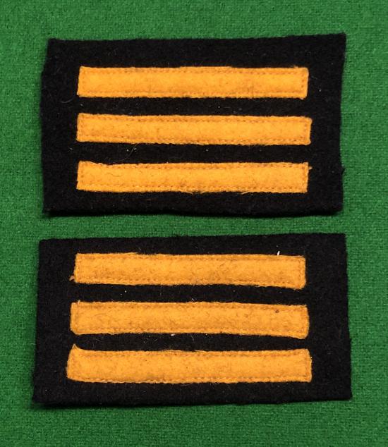 AR Divisional / District Warden Rank Badges.