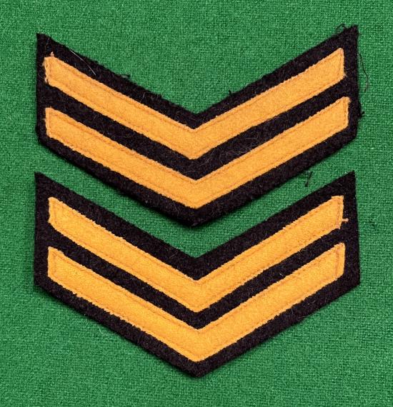 CD Senior Warden Rank Chevrons.