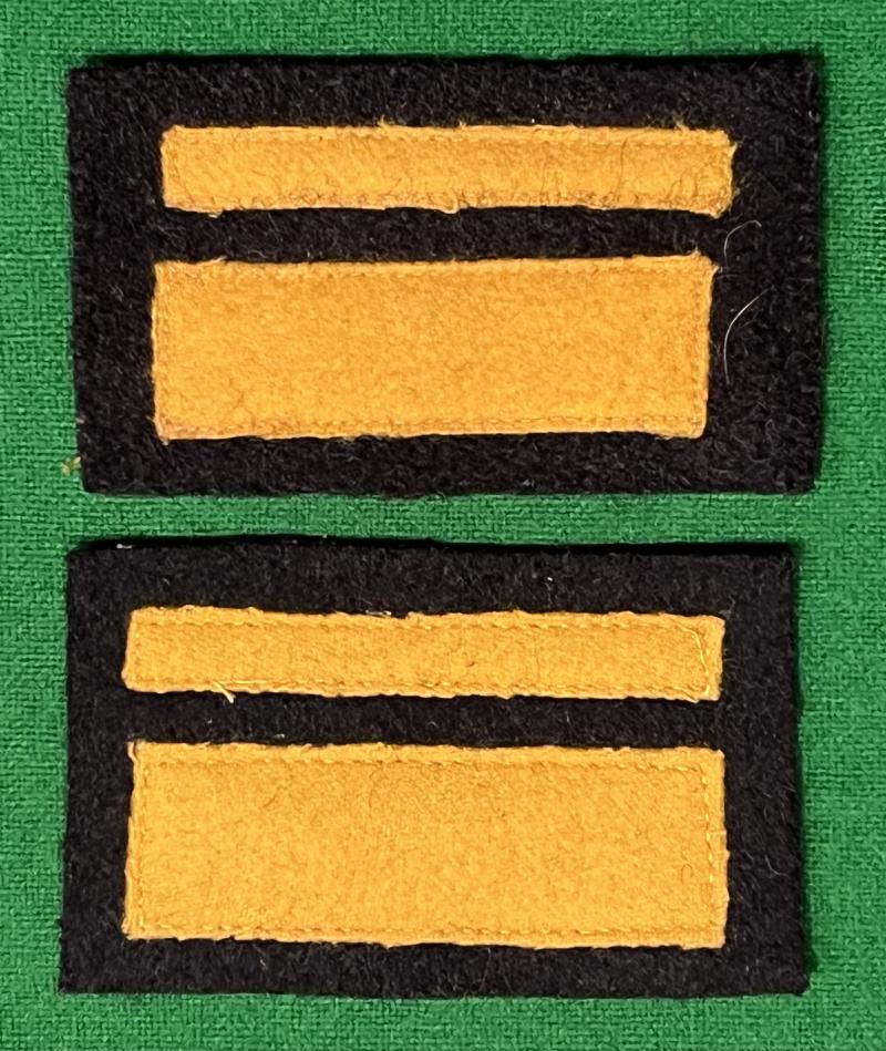 Chief Warden Rank badges.