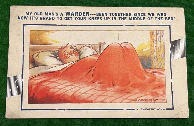 Comic postcard - Warden.