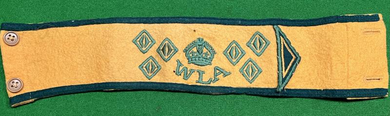 WLA Six Year armband.