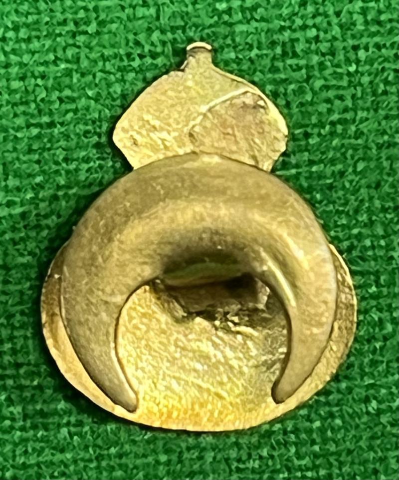 Home Guard Lapel badge - variation.