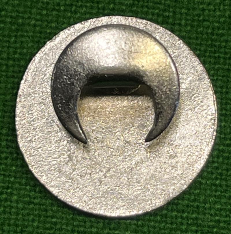 No. 4 (Overseas) Column NFS OCA lapel badge.