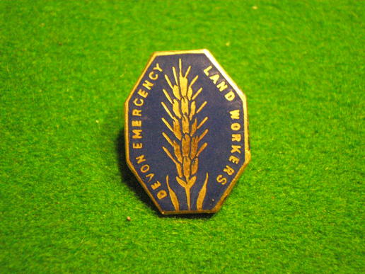 WW2 Devon Emergency Land Workers badge.