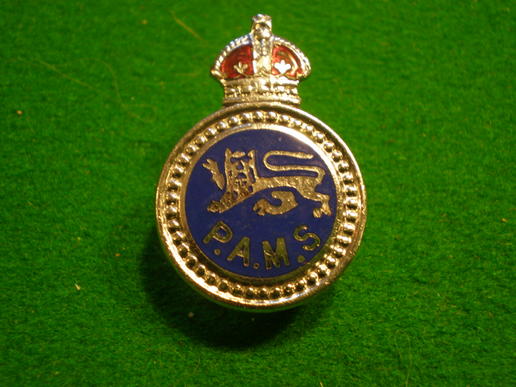Surrey Police Auxiliary Messenger Service lapel badge.