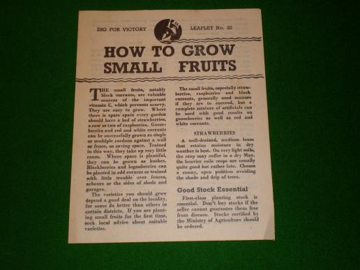 Dig For Victory leaflet No.22 How to Grow Small Fruits.
