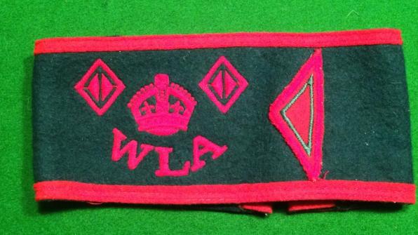 WLA  2 1/2 Year armband.