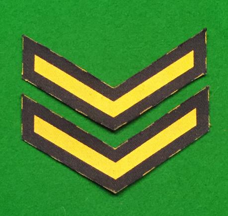 Civil Defence rank chevrons.