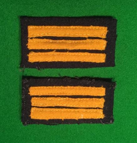 Divisional Warden Rank insignia.