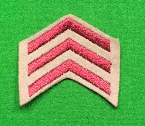 WVS War Service Chevrons.